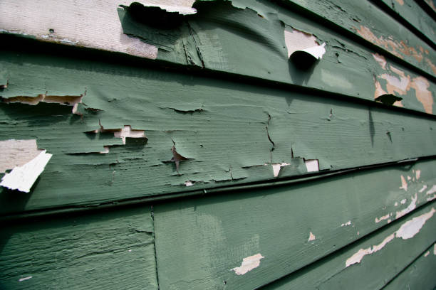 Affordable Siding Repair and Maintenance Services in Five Points, OH